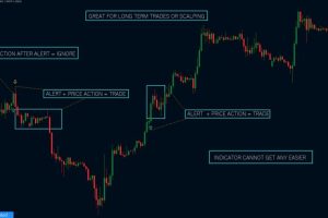 TWK MITB 5.1 Indicator Unlimited