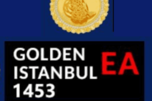 (6071)