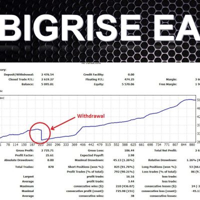 BIGRISE EA V1 + MQ4 Unlimited