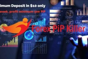 Forex Pip Killer EA