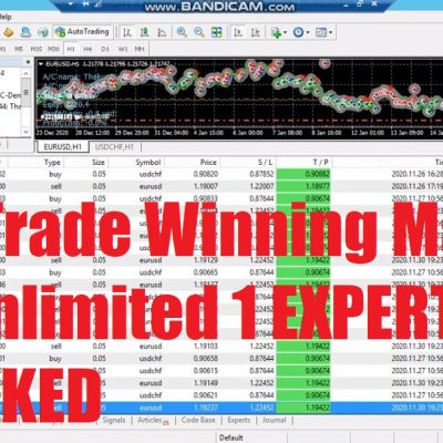 TWM Trade Winning Master V1.0 Unlimited