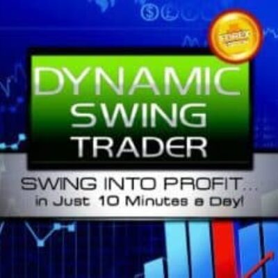 Netpicks Dynamic Swing Trader 2020 (Latest)