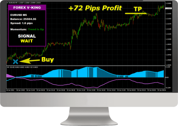 FX V-KING TRADING SOFTWARE +1372 PIPS PROFIT IN 30 DAYS