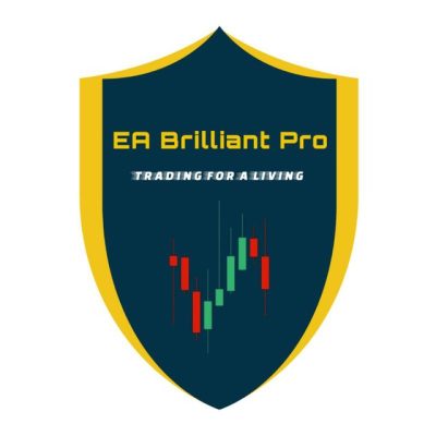 EA Brilliant Pro 4.1