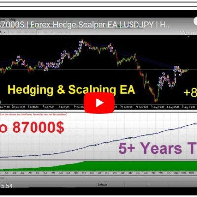 FOREX HEDGE SCALPER EA v6.13.22