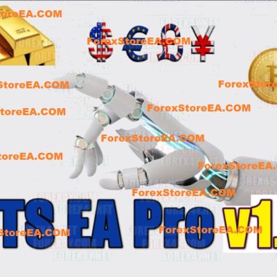 FTS EA Pro v1.3