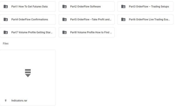 Trader Dale - Order Flow Video Course + Software [Video Course] - Image 2