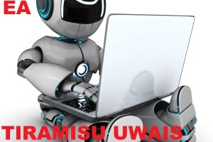 (24355)