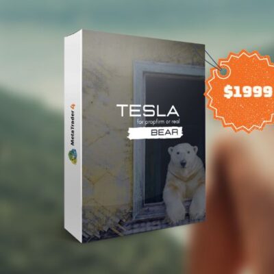 TESLAEASOFT BEAR SYSTEM v1.0