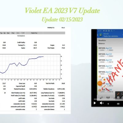 Violeta EA 2023-V7 FINAL