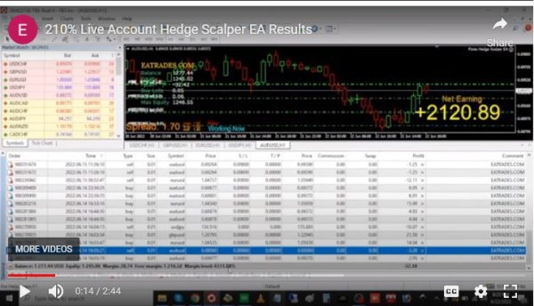 Forex Hedge Scalper EA V6.13.22