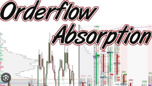 The OrderFlows – Absorption Course