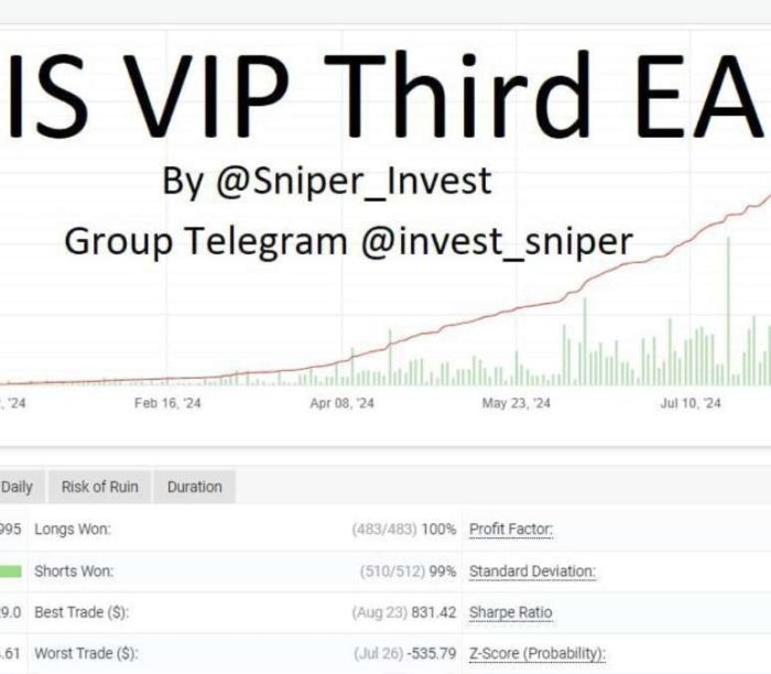 IS VIP Third EA