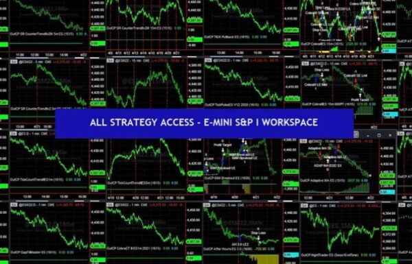 Capstone-All Strategy Access in Members Area-2024 Update Seven Trading Systems for the S&P Futures