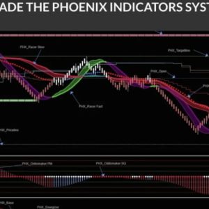PHOENIX INDICATORS SYSTEM NT8