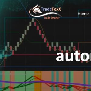 TradeFoxx Auto Trader NT8