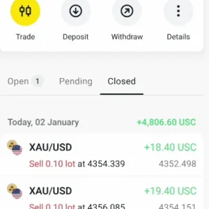 Highly Profitable Gold Scalper for MT5